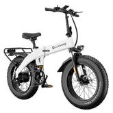 LUCKEEP X1 Lite 20" Folding Electric Bike 750W(1200W Peak) Motor 48V 15Ah Battery